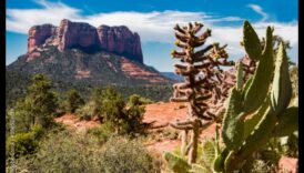 أحلام الصحراء: العالم الساحر للمناظر الطبيعية القاحلة