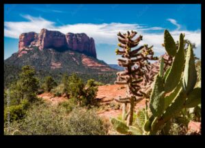 أحلام الصحراء: العالم الساحر للمناظر الطبيعية القاحلة