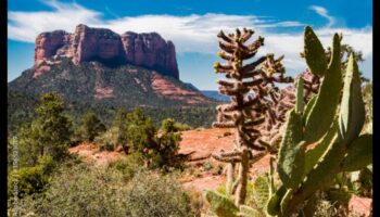 أحلام الصحراء: العالم الساحر للمناظر الطبيعية القاحلة