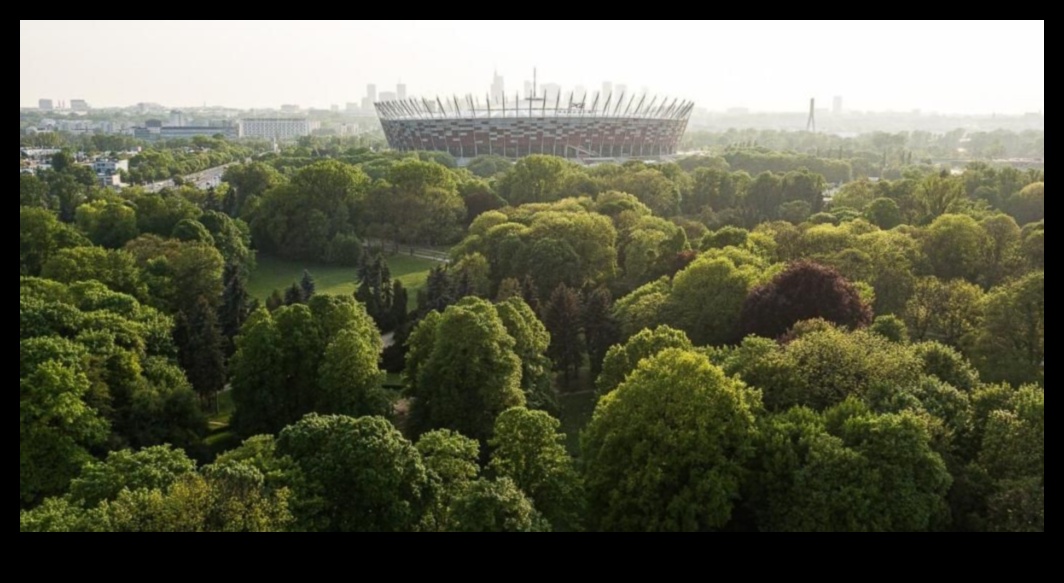 حدائق المدينة الواحات الخضراء في الغابة الخرسانية 5 حدائق المدينة: الرئتين الخضراء وسط صخب المناطق الحضرية