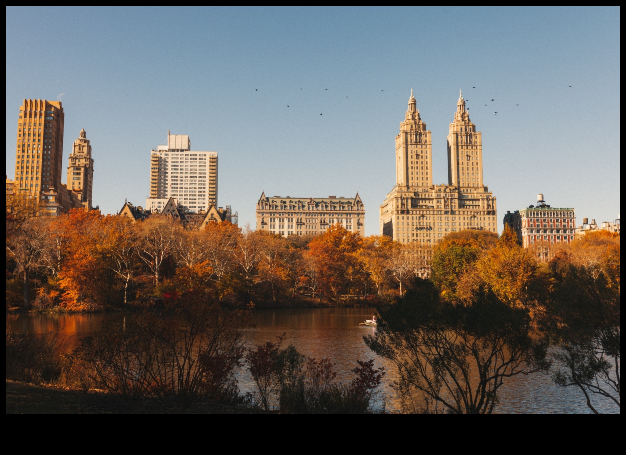 حدائق المدينة الواحات الخضراء في الغابة الخرسانية 3 حدائق المدينة: الرئتين الخضراء وسط صخب المناطق الحضرية