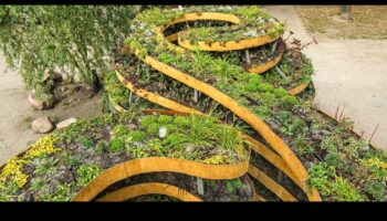 حدائق المدينة: الرئتين الخضراء وسط صخب المناطق الحضرية