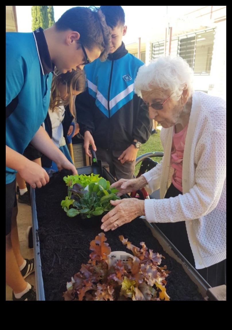 حصاد الصداقة: نمو الروابط في حديقة الشبكات الاجتماعية