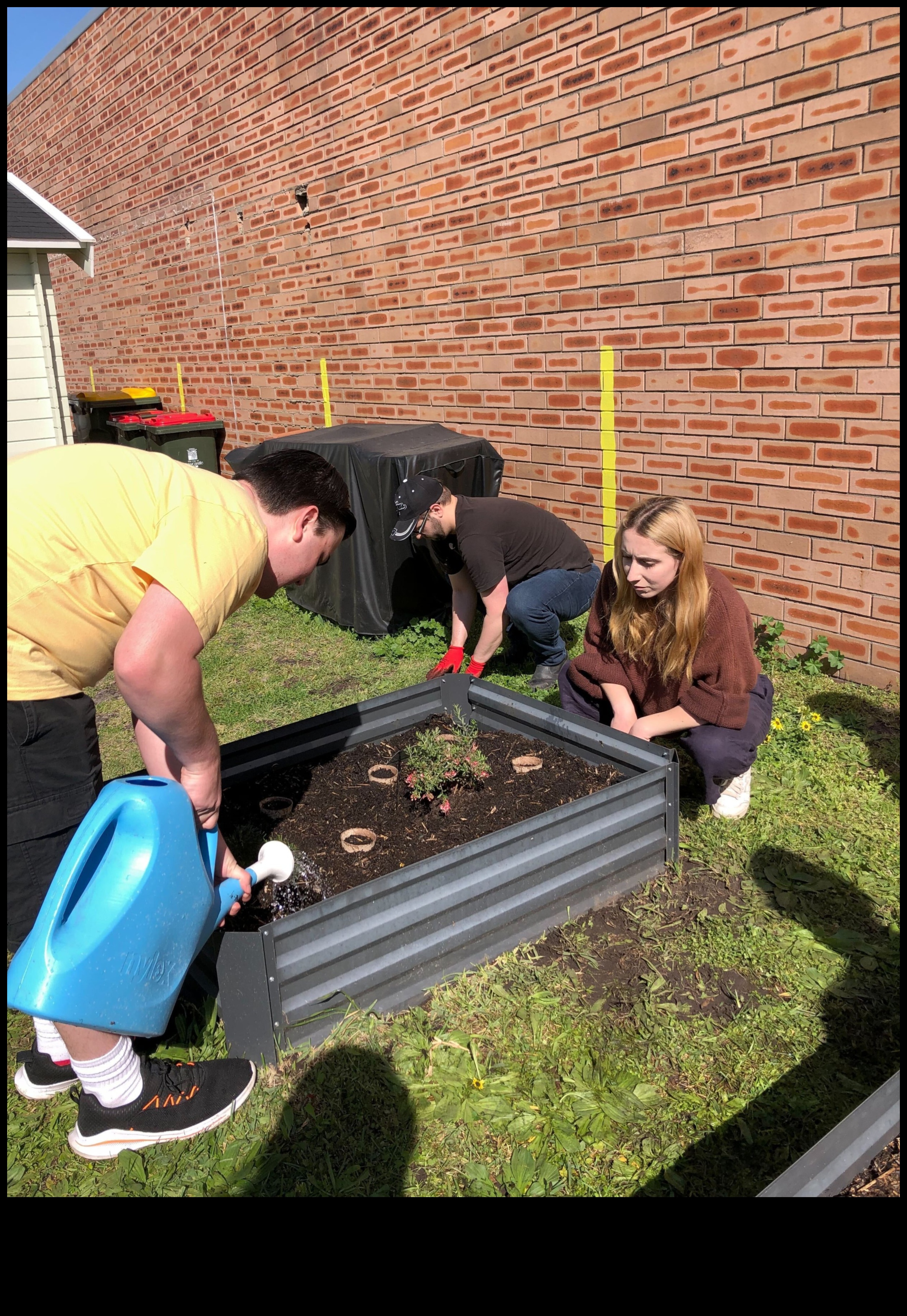 حصاد الصداقة: نمو الروابط في حديقة الشبكات الاجتماعية