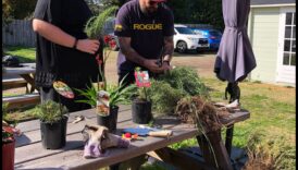 حصاد الصداقة: نمو الروابط في حديقة الشبكات الاجتماعية