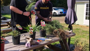 حصاد الصداقة: نمو الروابط في حديقة الشبكات الاجتماعية