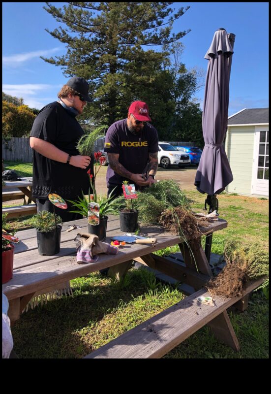 حصاد الصداقة: نمو الروابط في حديقة الشبكات الاجتماعية