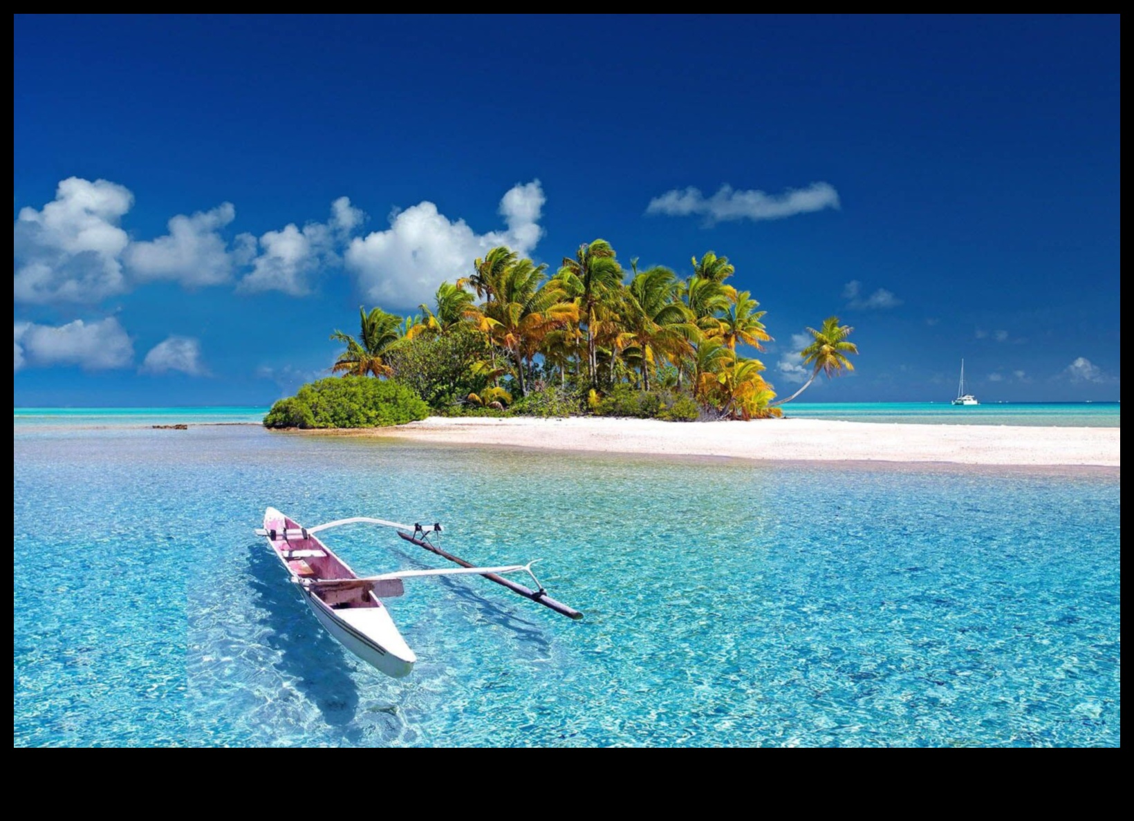 الكنوز الاستوائية: استكشاف المناظر الطبيعية الغريبة