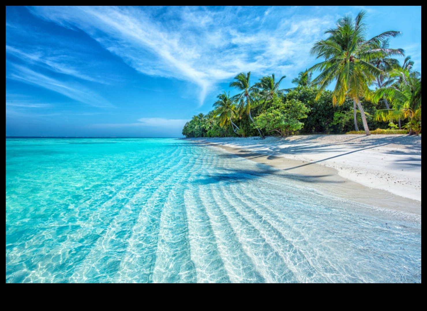 الكنوز الاستوائية: استكشاف المناظر الطبيعية الغريبة