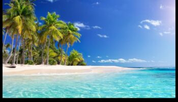 الكنوز الاستوائية: استكشاف المناظر الطبيعية الغريبة