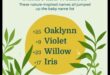 المشاريع الخضراء: أسماء الأطفال المحبة للطبيعة للقلوب الخضراء