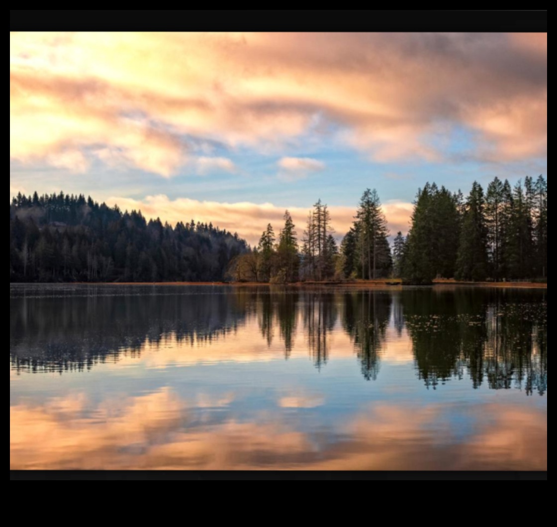 وجهات نظر ساحرة: تصوير المناظر الطبيعية الآسر