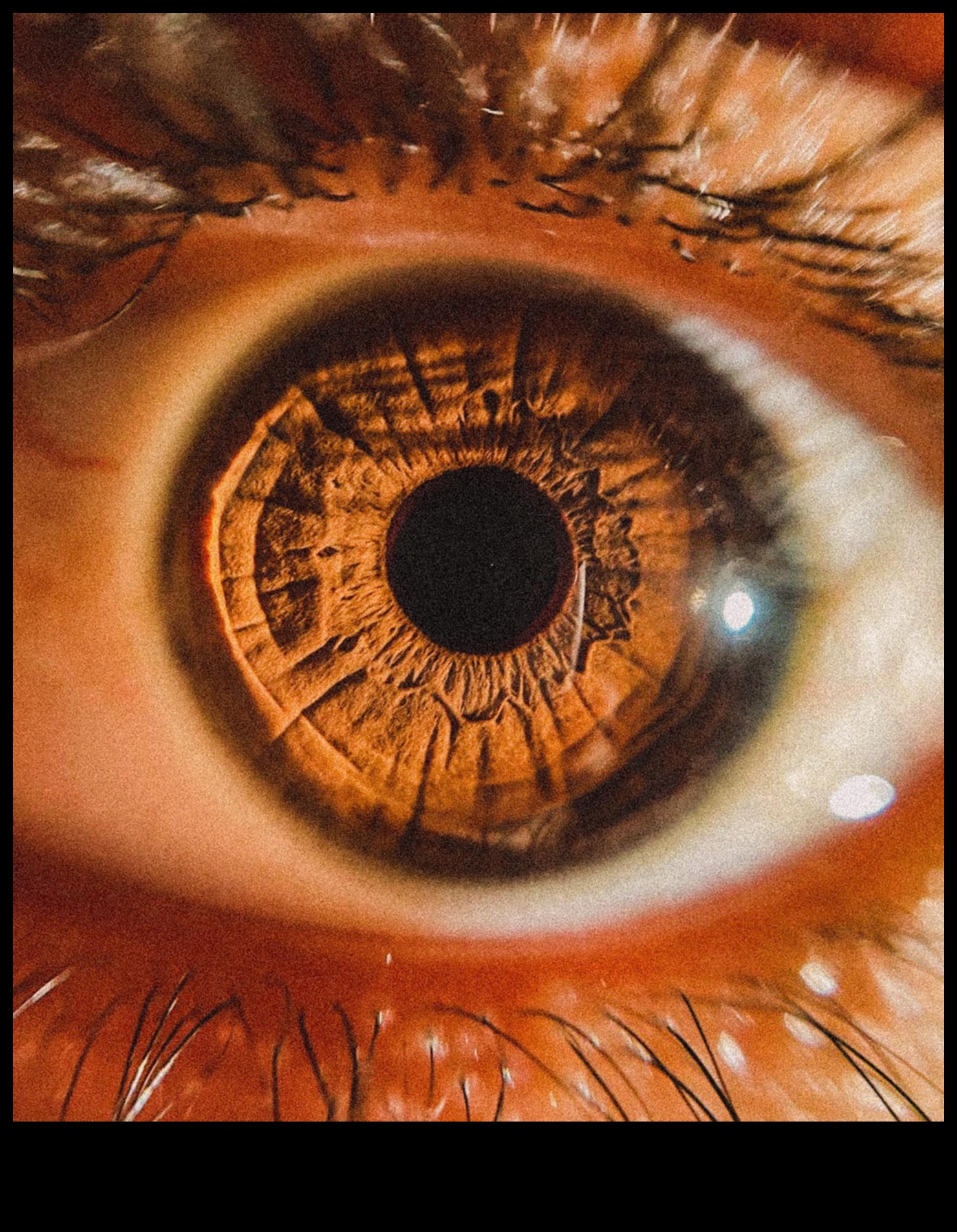 تم الكشف عن تفاصيل معقدة: إتقان فن التصوير الكلي