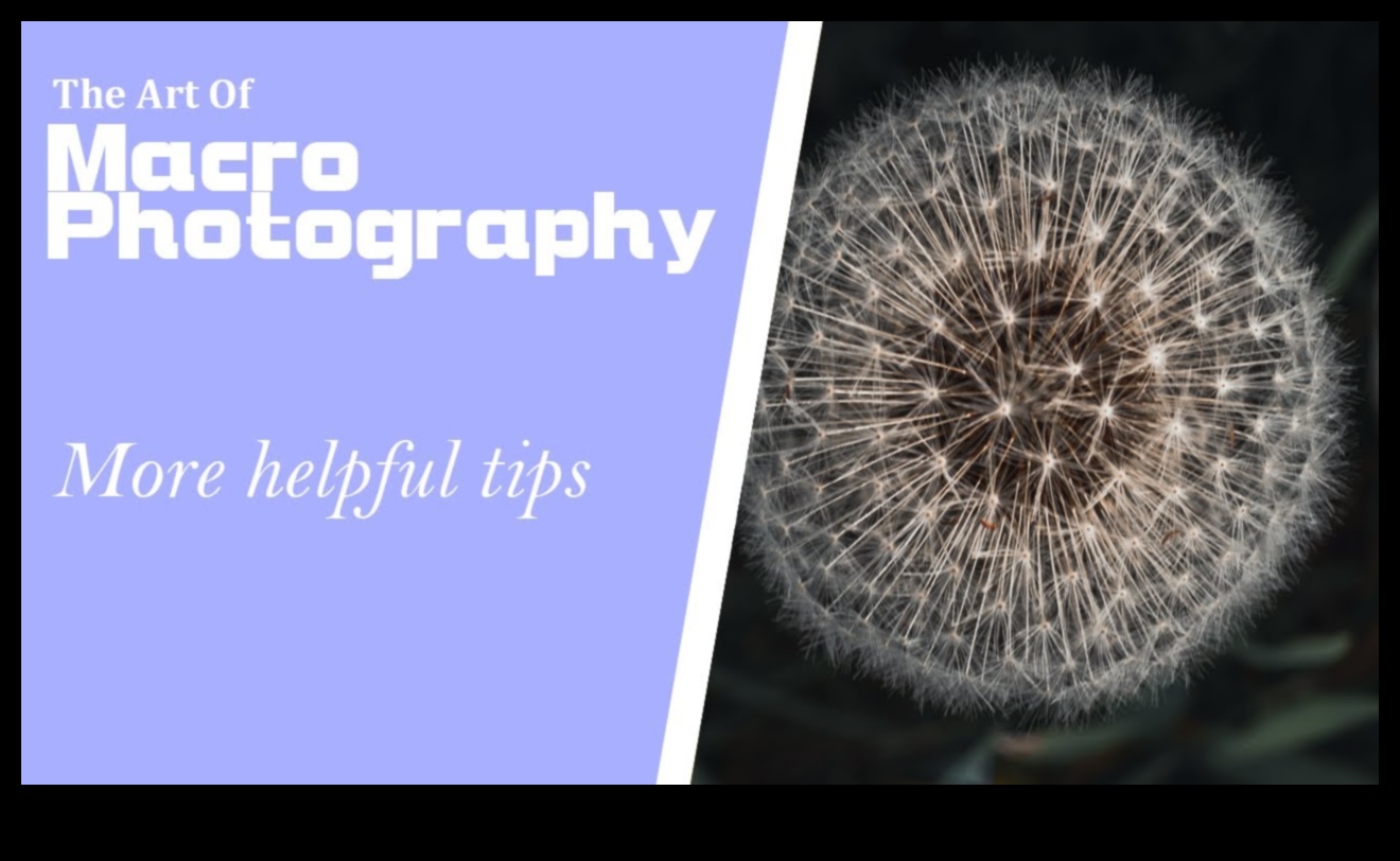 تم الكشف عن تفاصيل معقدة: إتقان فن التصوير الكلي