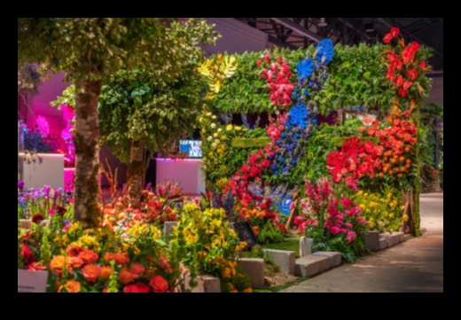 الحدائق المتوهجة: تقنيات التقاط إشعاع الأزهار