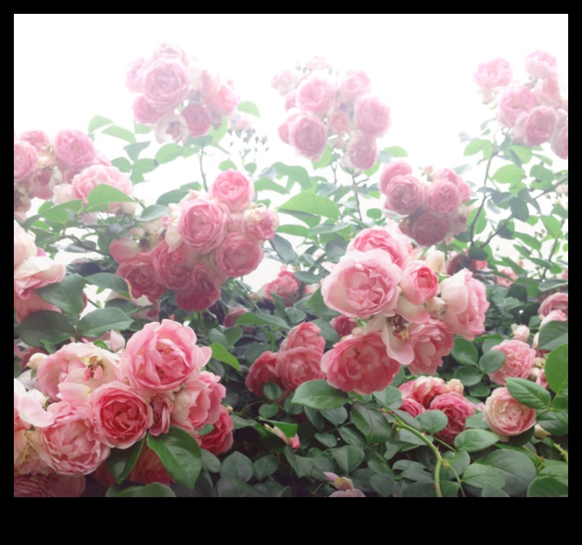 الحدائق المتوهجة: تقنيات التقاط إشعاع الأزهار