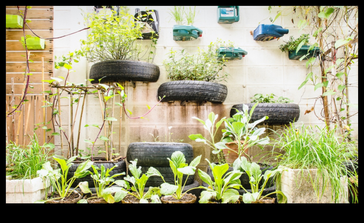 الحدائق الحضرية الصاخبة التي تزدهر 4 الواحات الحضرية: المتنزهات والحدائق وسط الزحام