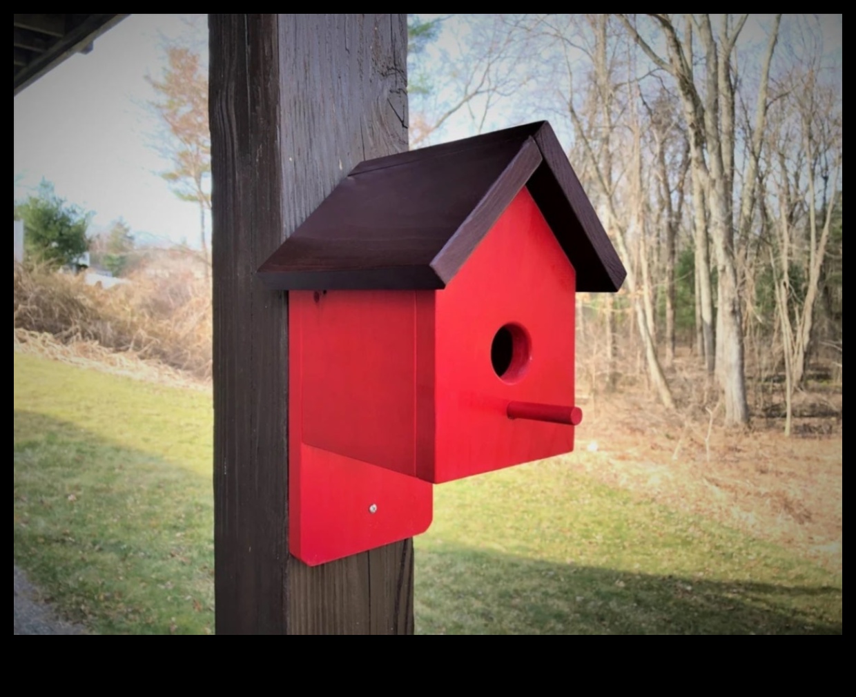 بيوت الطيور الخشبية التي تصنعها بنفسك: صناعة منازل للأصدقاء ذوي الريش