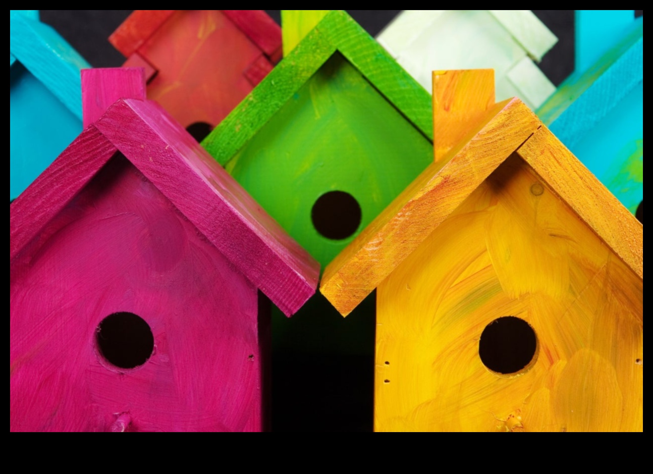 بيوت الطيور الخشبية التي تصنعها بنفسك: صناعة منازل للأصدقاء ذوي الريش