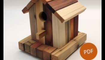 بيوت الطيور الخشبية التي تصنعها بنفسك: صناعة منازل للأصدقاء ذوي الريش