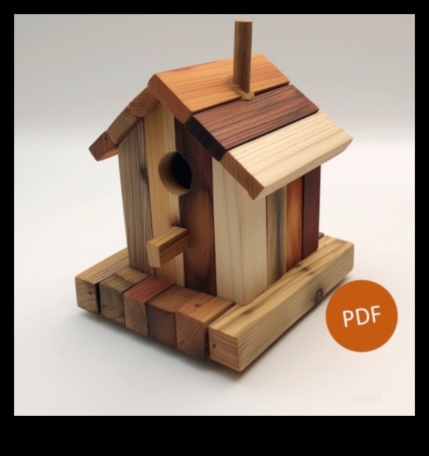 بيوت الطيور الخشبية التي تصنعها بنفسك: صناعة منازل للأصدقاء ذوي الريش