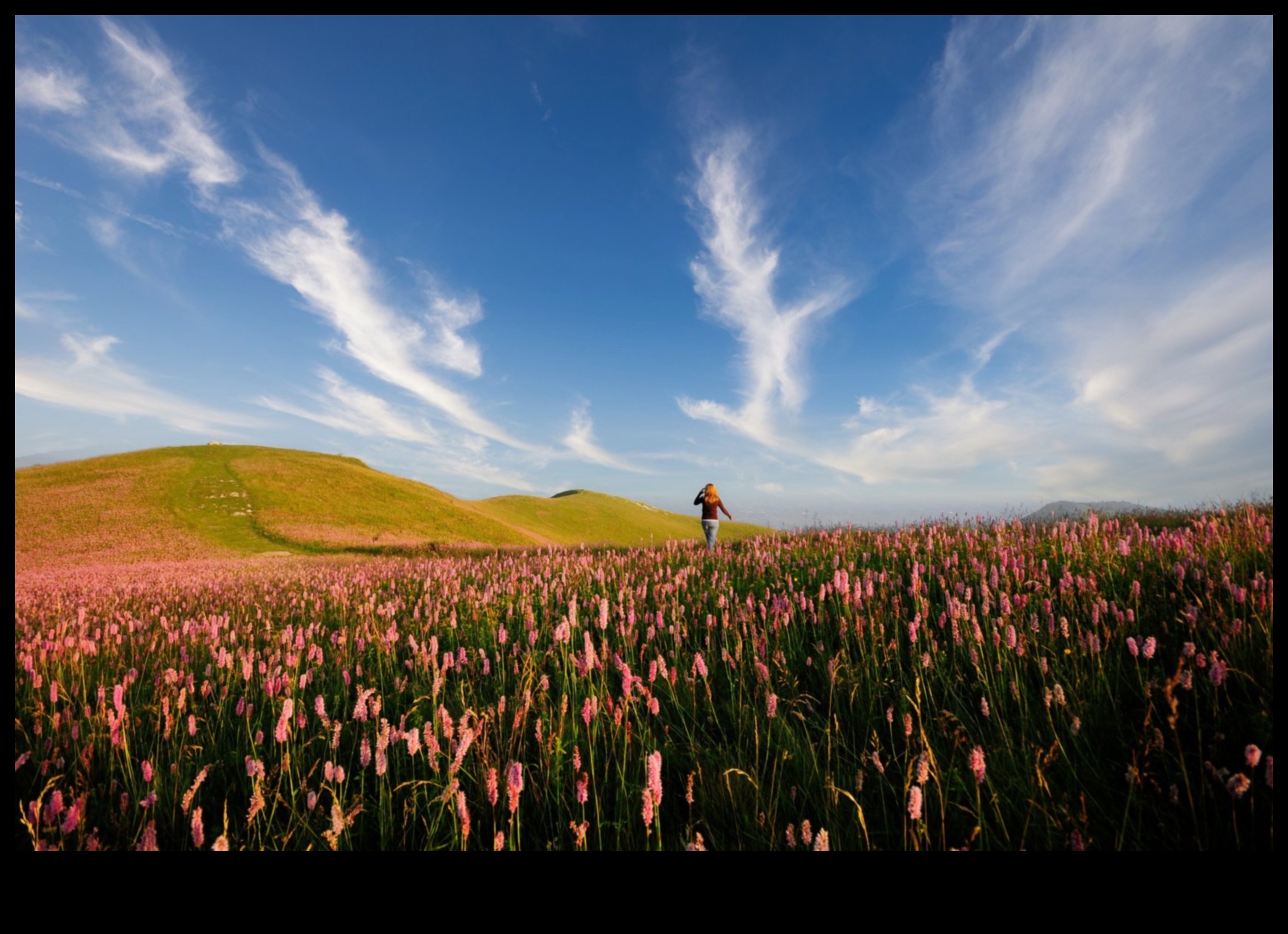 الإتقان الرقمي: رفع مستوى التصوير الفوتوغرافي من خلال التحرير الدقيق