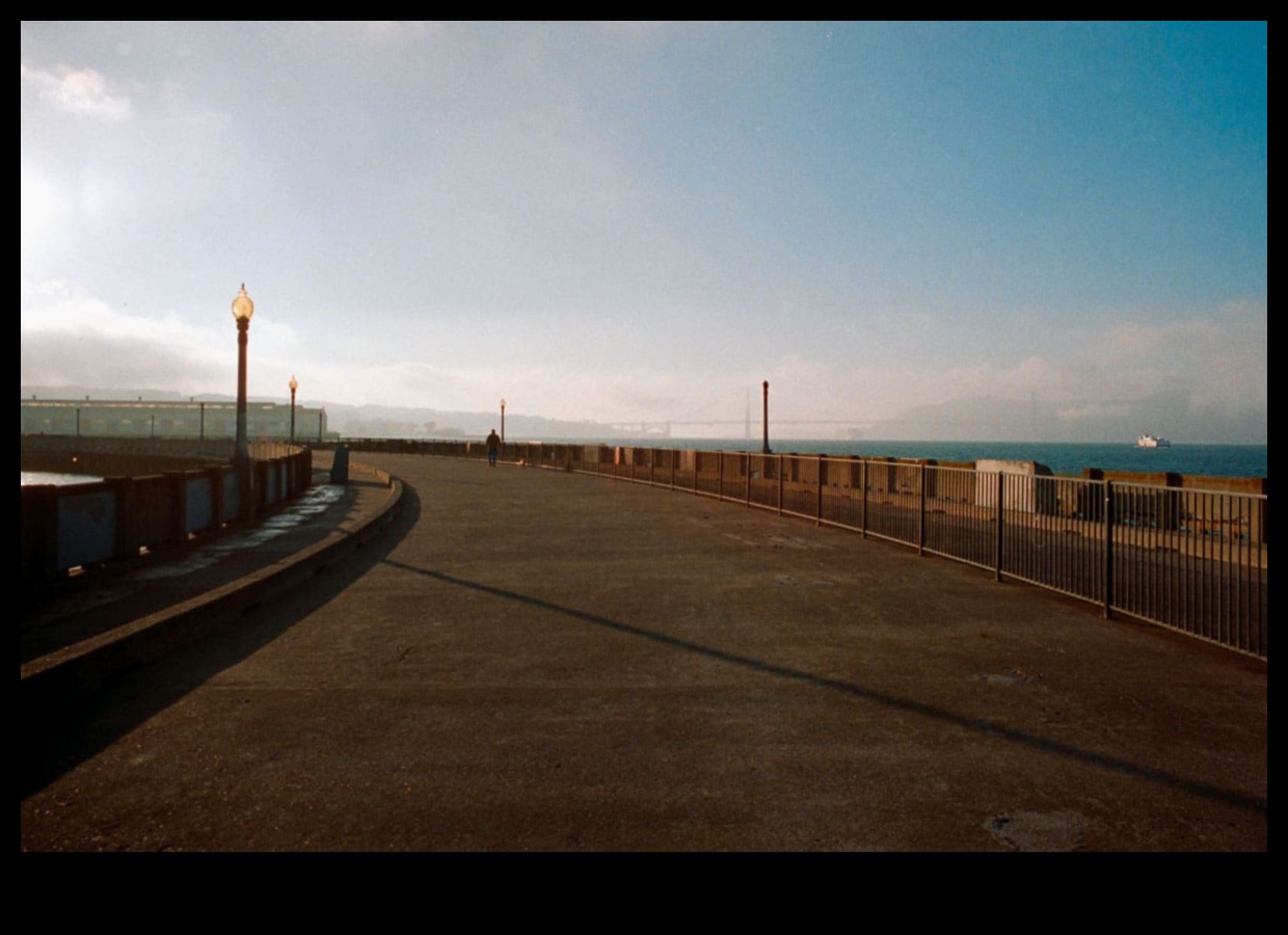 التركيز على الكمال: صقل مهاراتك في التصوير الفوتوغرافي الآن