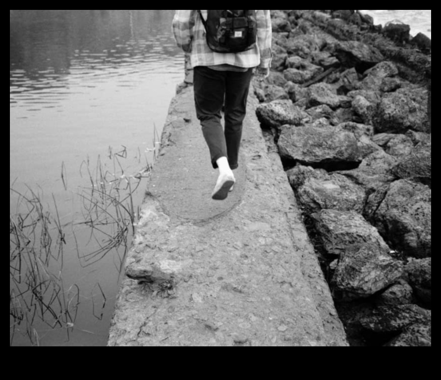 التركيز على الكمال: صقل مهاراتك في التصوير الفوتوغرافي الآن