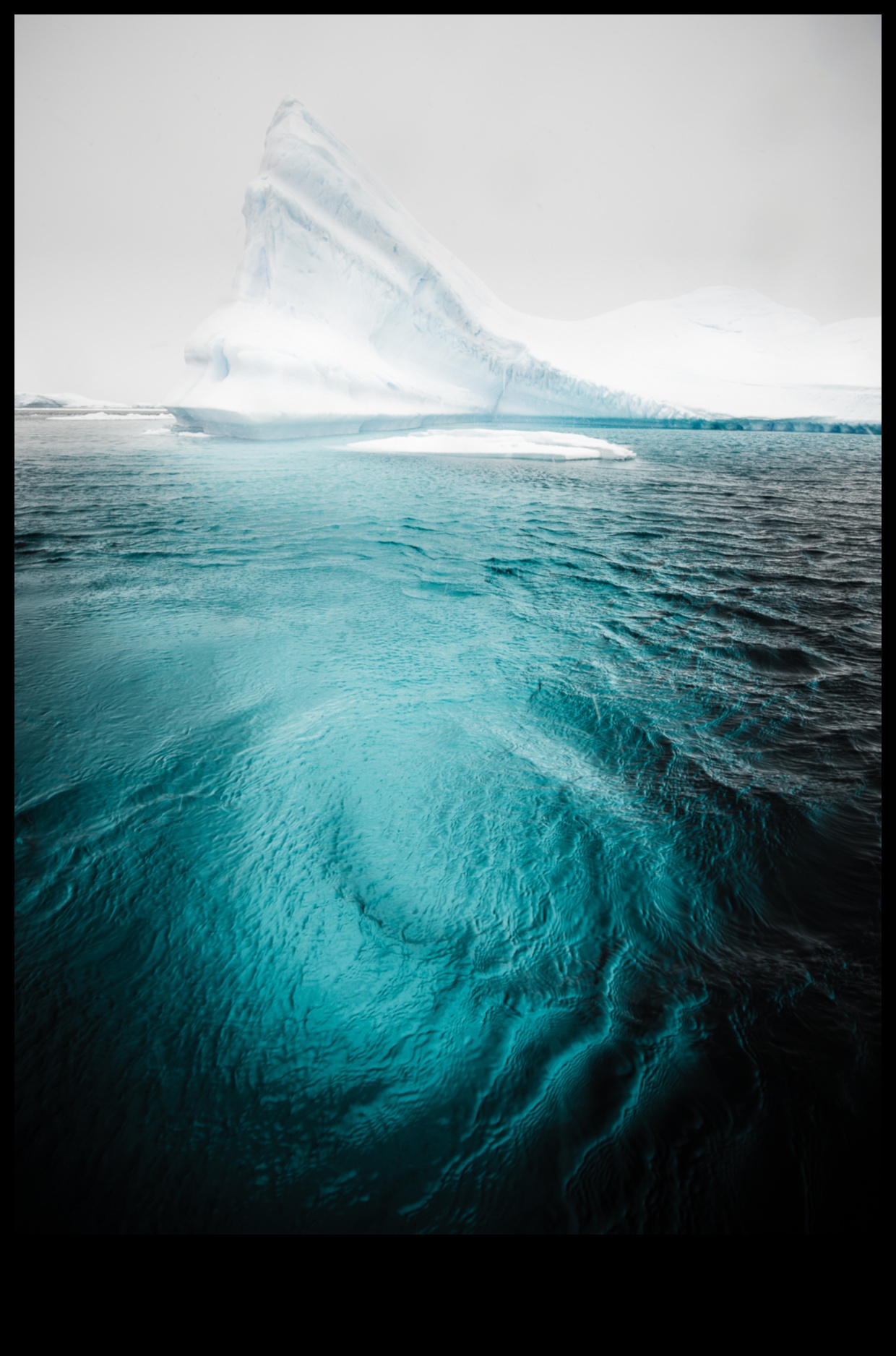 التركيز على الكمال: صقل مهاراتك في التصوير الفوتوغرافي الآن