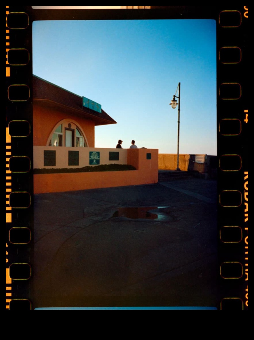 التركيز على الكمال: صقل مهاراتك في التصوير الفوتوغرافي الآن