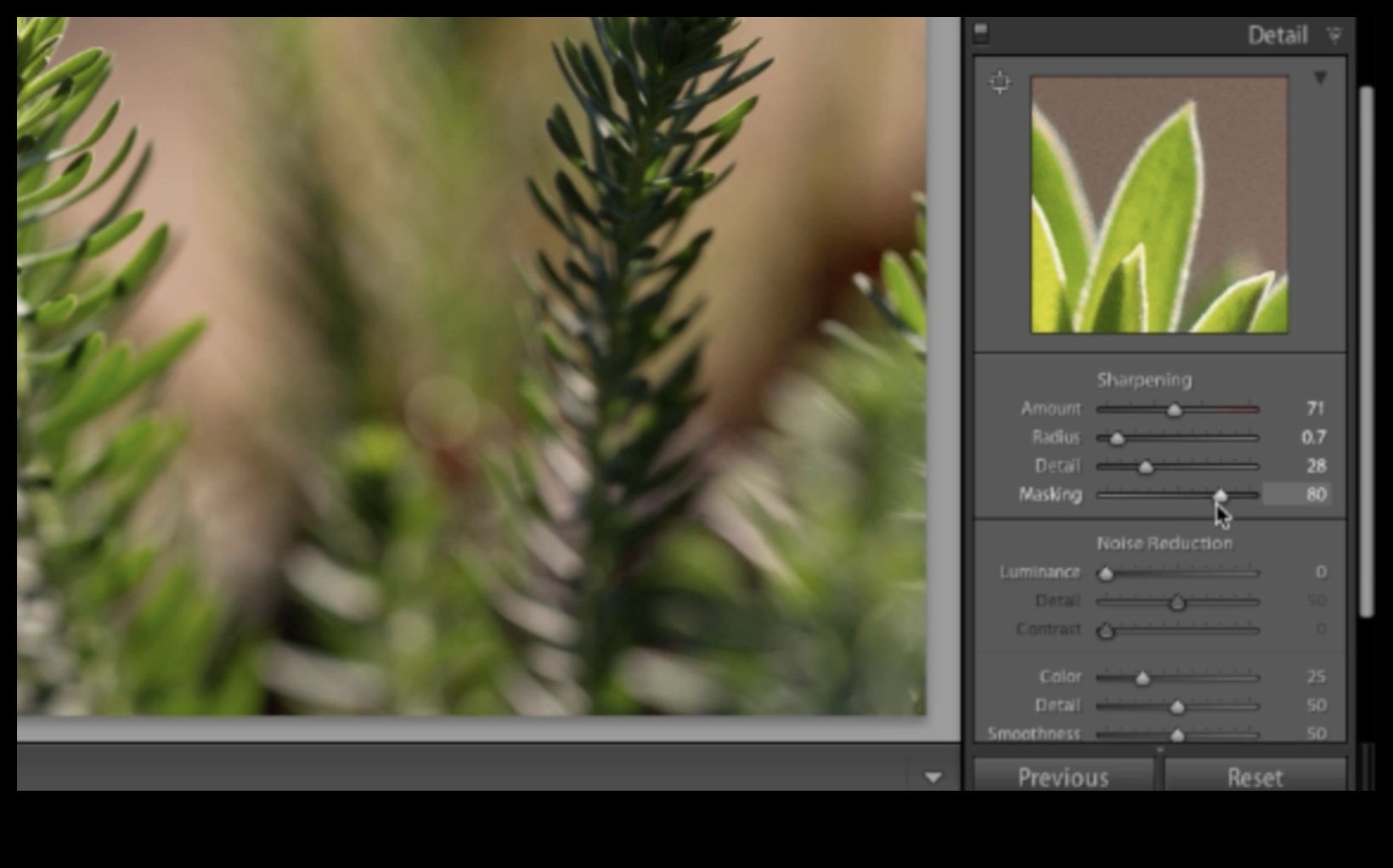 التحرير المتميز: إتقان مرحلة ما بعد المعالجة مع البرامج التعليمية