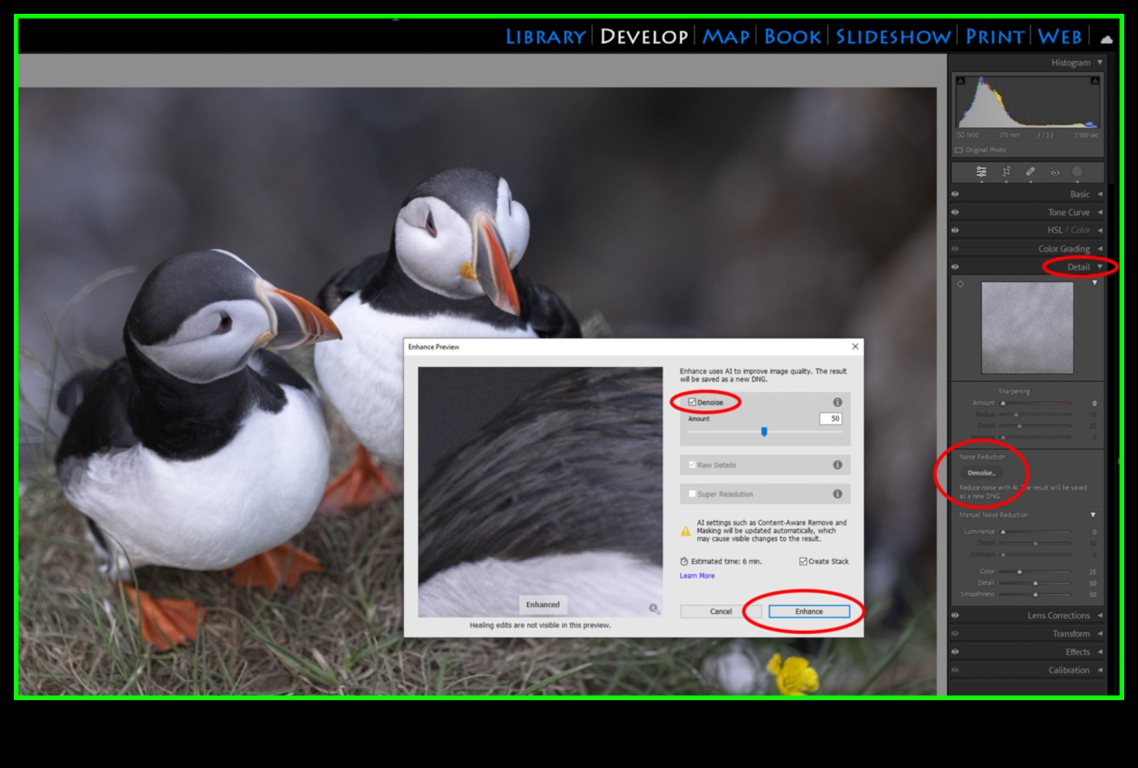 التحرير المتميز: إتقان مرحلة ما بعد المعالجة مع البرامج التعليمية