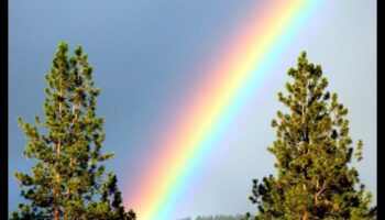 إشعاع قوس قزح: تقنيات التصوير الفوتوغرافي الملون النابض بالحياة