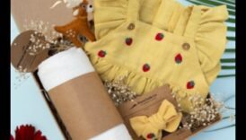 هدايا صغيرة من الكنوز الهوائية للاحتفال بوصول الطفل 3 كنوز صغيرة: الهدايا القلبية للاحتفال بالطفل