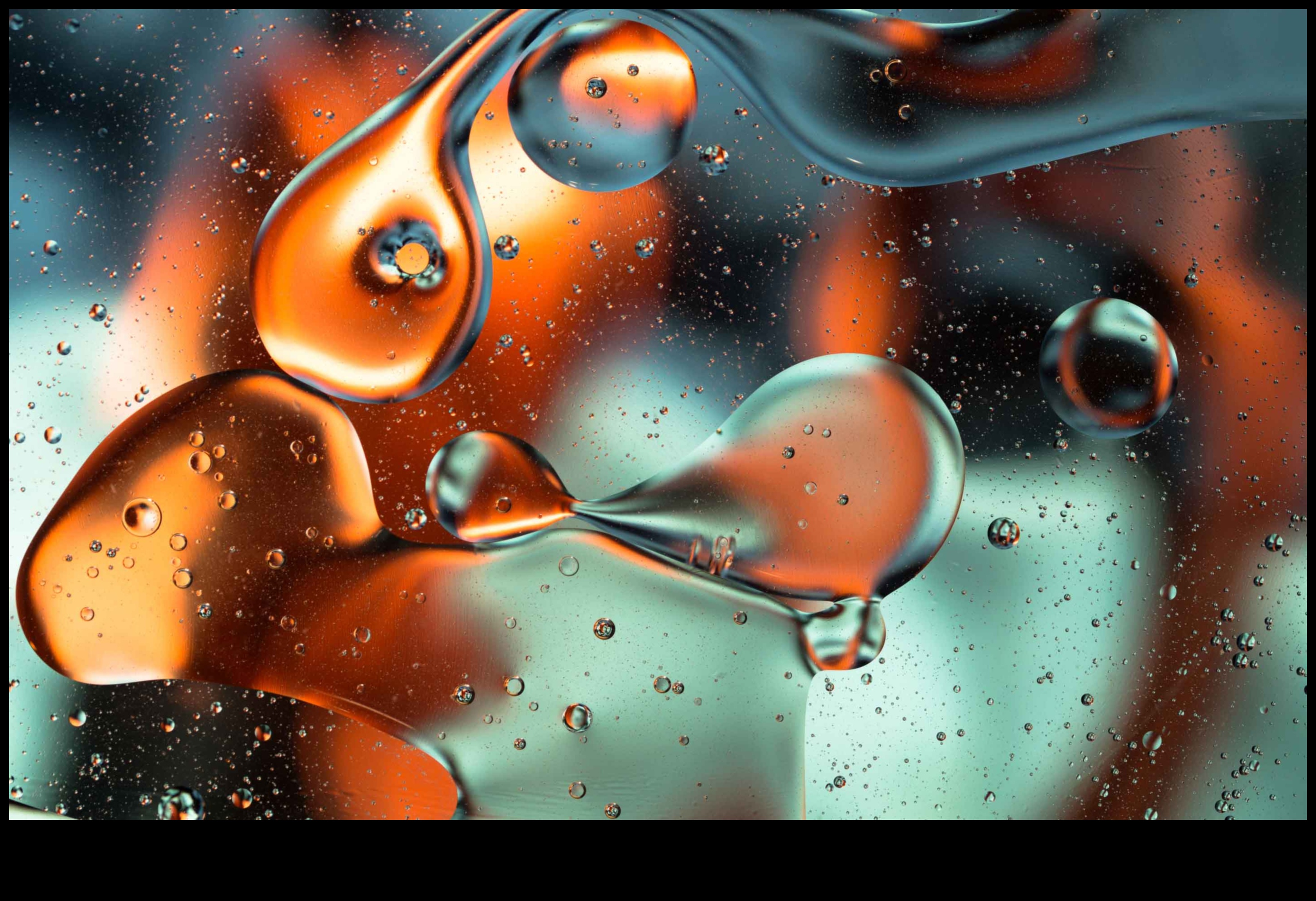 حقائق مجردة: جولة غير عادية في التصوير الفوتوغرافي 3 الحقائق المجردة: التفسيرات الفنية في التصوير الفوتوغرافي