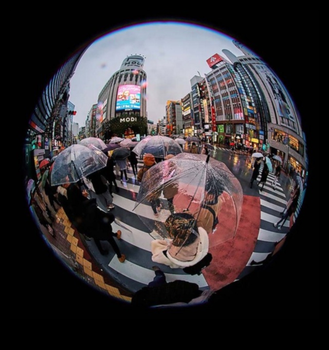 اندماج عين السمكة: إطلاق العنان للإبداع الخالي من التشويه في البصريات المتميزة