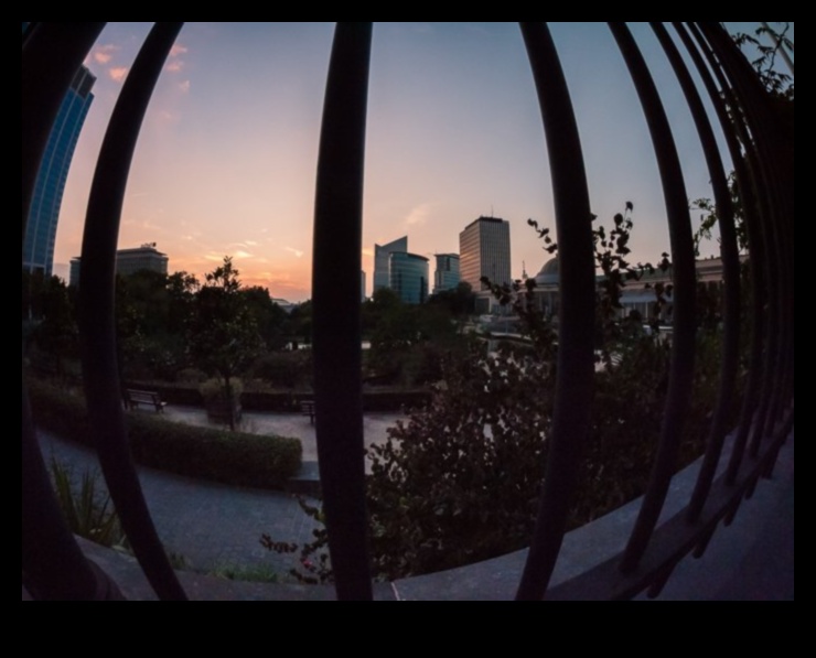 اندماج عين السمكة: إطلاق العنان للإبداع الخالي من التشويه في البصريات المتميزة