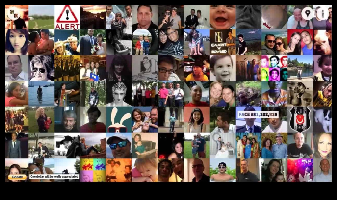 وجوه الفيسبوك: التنقل في النجاح على وسائل الإعلام الاجتماعية العملاقة