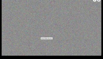 وجوه الفيسبوك: التنقل في النجاح على وسائل الإعلام الاجتماعية العملاقة