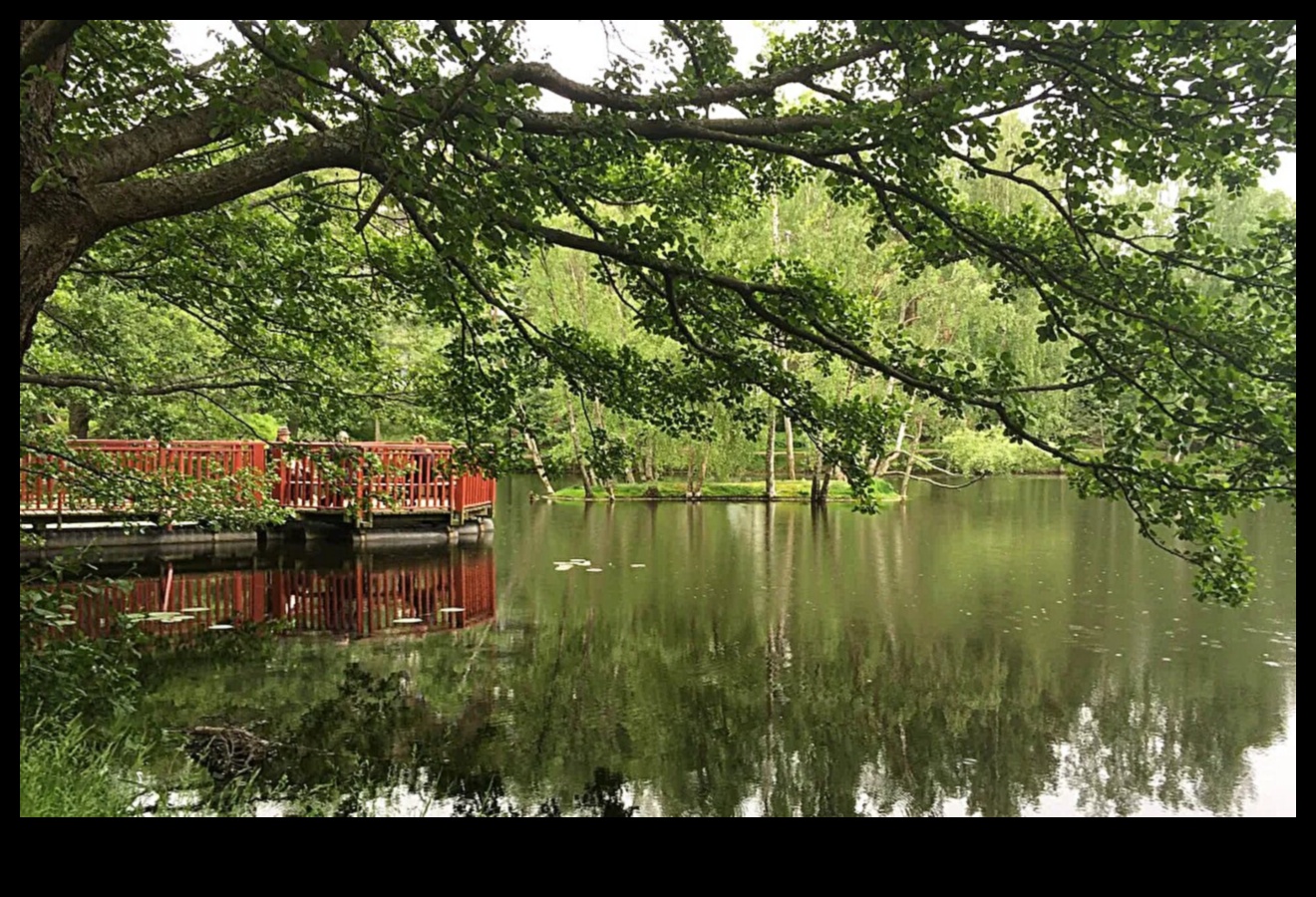 ما هو الدور الذي تلعبه الأراضي الرطبة الحضرية في تعزيز المناظر الطبيعية للمدينة؟