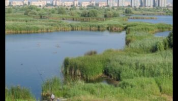 ما هو الدور الذي تلعبه الأراضي الرطبة الحضرية في تعزيز المناظر الطبيعية للمدينة؟