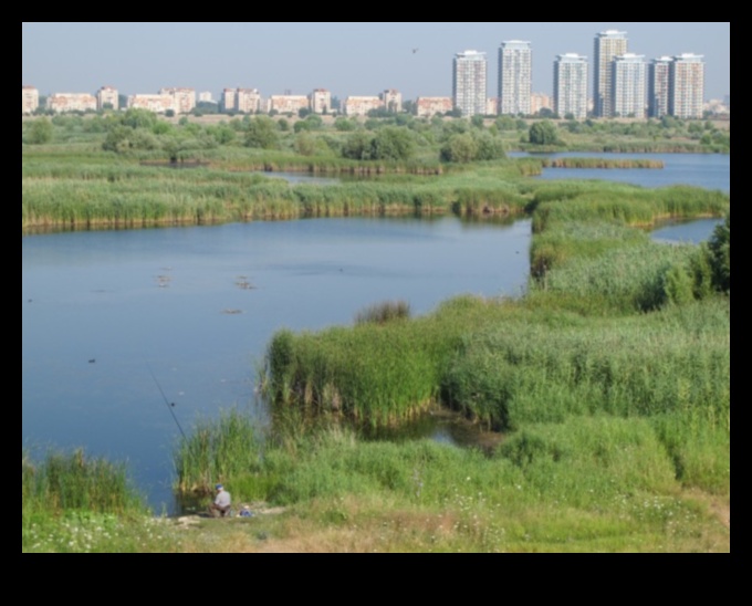 ما هو الدور الذي تلعبه الأراضي الرطبة الحضرية في تعزيز المناظر الطبيعية للمدينة؟