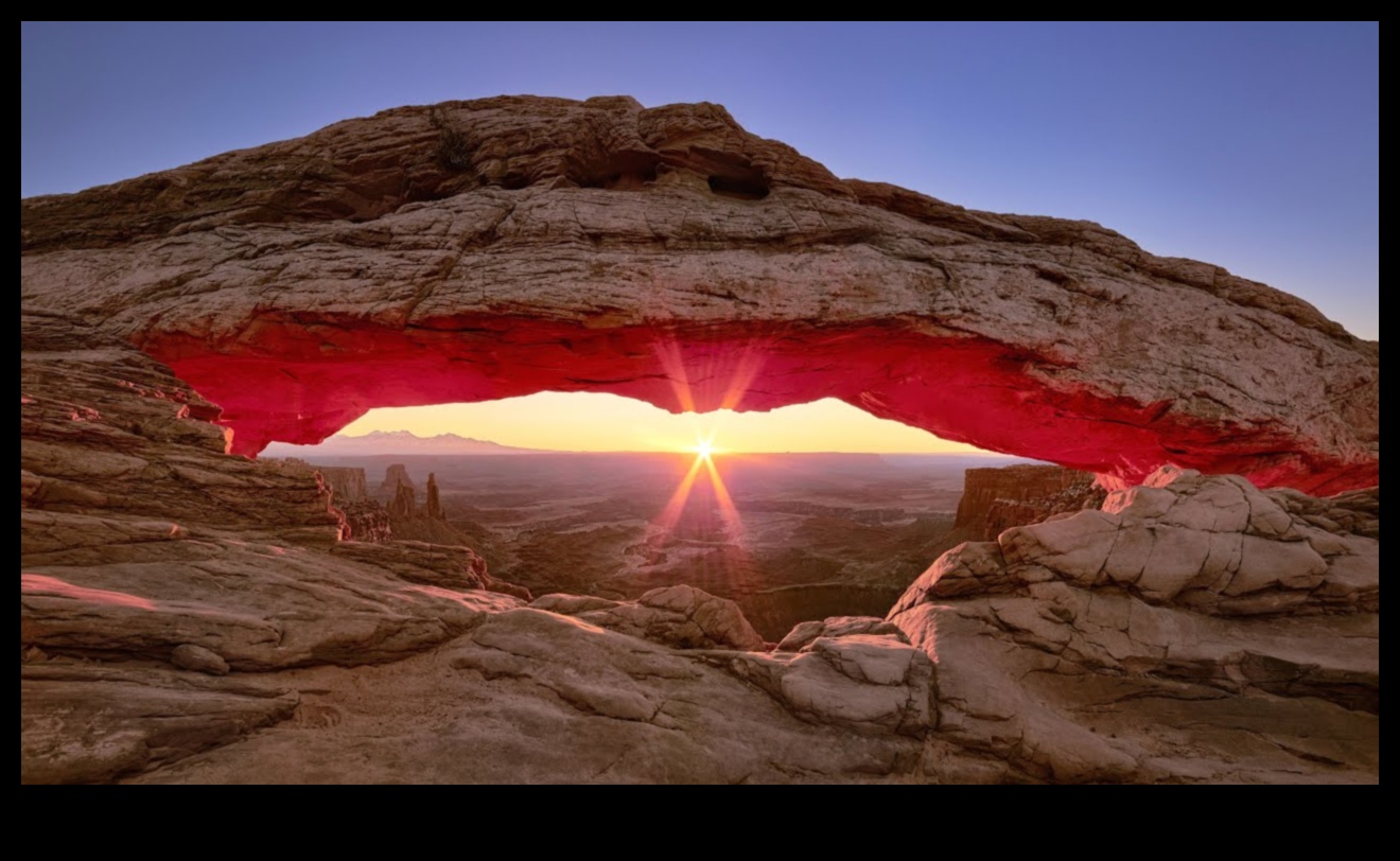 المناظر الطبيعية في الحركة II: وجهات نظر ديناميكية حول جمال الطبيعة