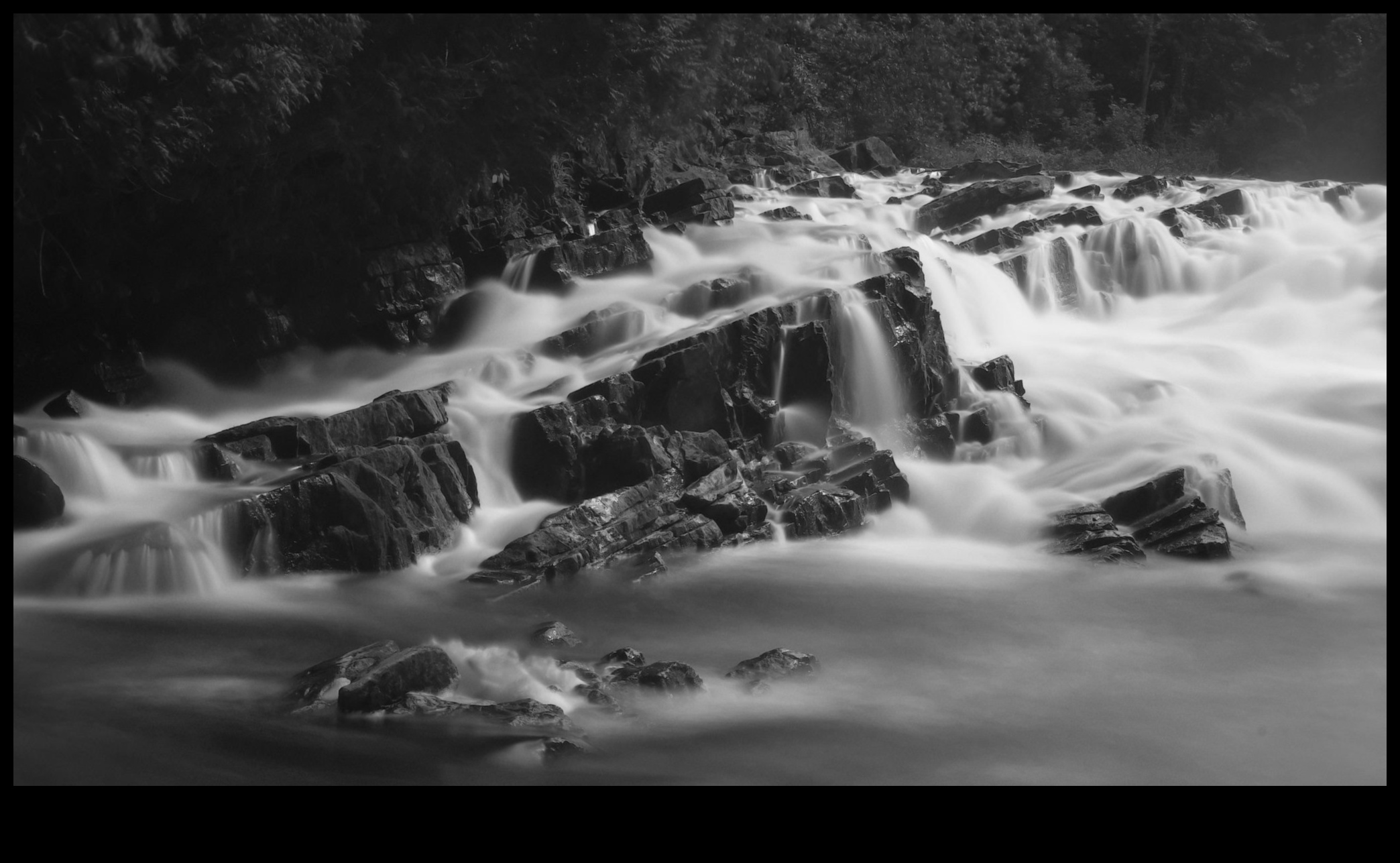 المناظر الطبيعية في الحركة II: وجهات نظر ديناميكية حول جمال الطبيعة