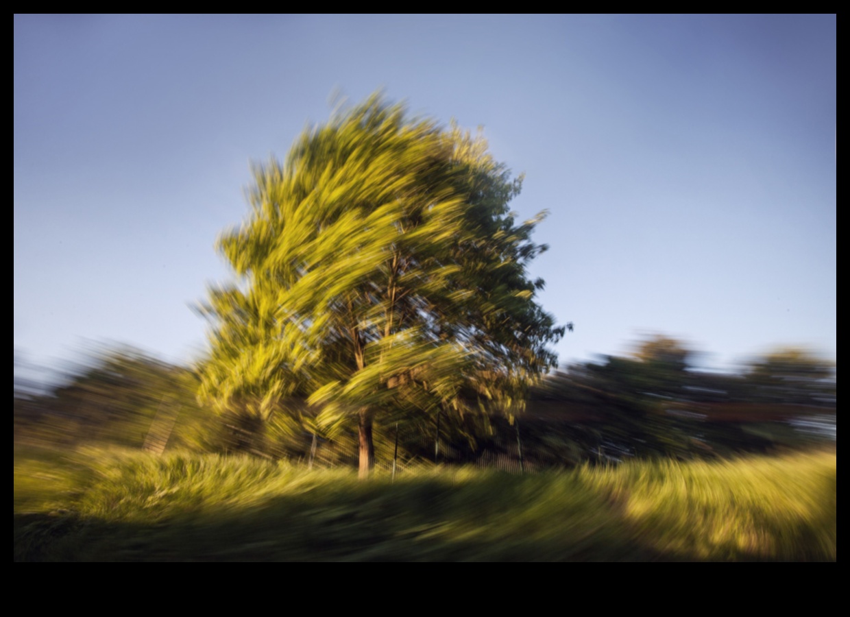 المناظر الطبيعية في الحركة II: وجهات نظر ديناميكية حول جمال الطبيعة