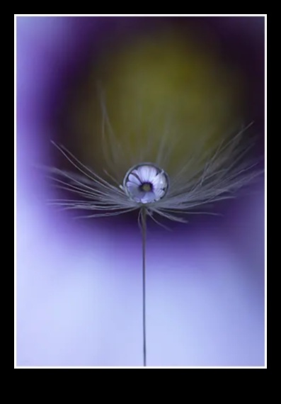 تم الكشف عن تفاصيل معقدة: إتقان فن التصوير الكلي